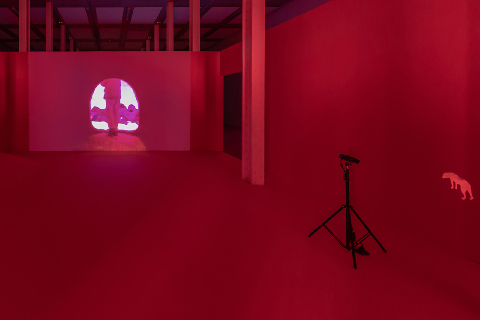 ZZZ-APICHATPONG - PRESENTACIÓ - F14